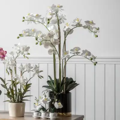 Indoor Artificial White Orchid with Black Gold Flower Pot