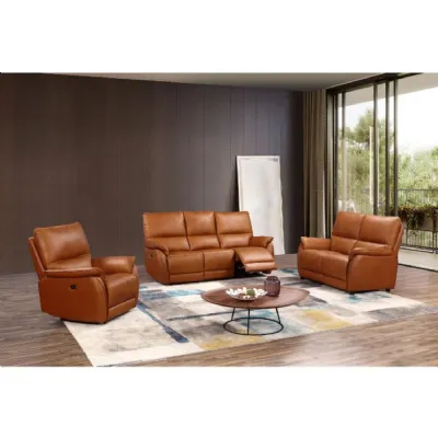 Tan Leather Match 1 Seater Upholstered Fixed Armchair