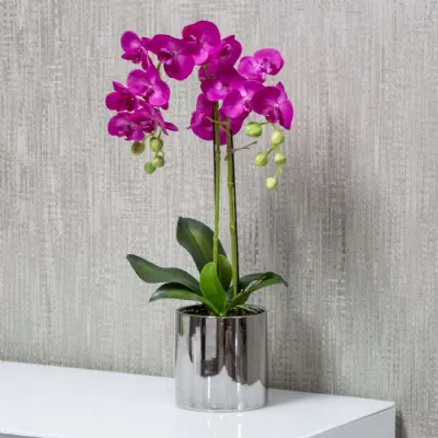 Mint Homeware Brighter Pink Orchid in Silver Ceramic Pot 2 Stems