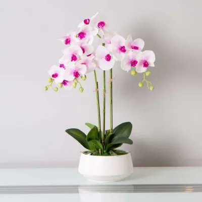 Mint Homeware Soft Pink Orchid in White Ceramic Pot 3 Stems