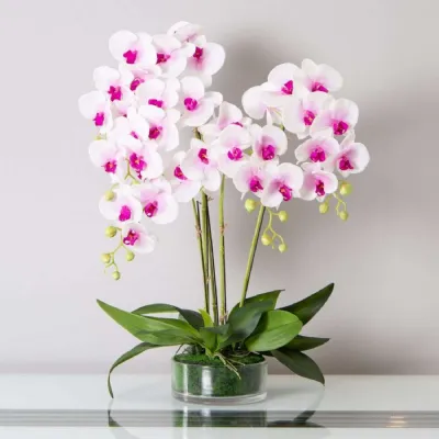 Mint Homeware Soft Pink Orchid in Glass Pot 5 Stems