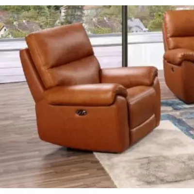 Tan Brown Leather Upholstered Armchair