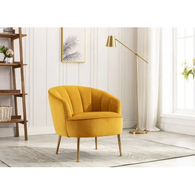 Apricot Yellow Velvet Occasional Tub Chair Gold Metal Legs